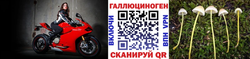 Галлюциногенные грибы прущие грибы  Хилок 